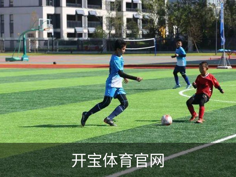 开宝体育官网介绍